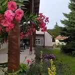 Ribizli Vintage Apartment *