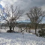 Ribizli Vintage Parád
