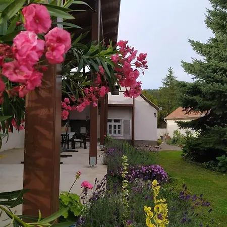 Ribizli Vintage Vendeghaz Apartament *