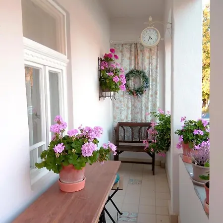 Apartment Ribizli Vintage Vendeghaz Parad