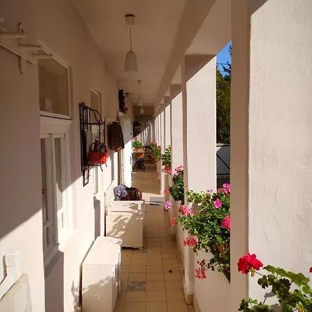 Ribizli Vintage Vendeghaz Parad