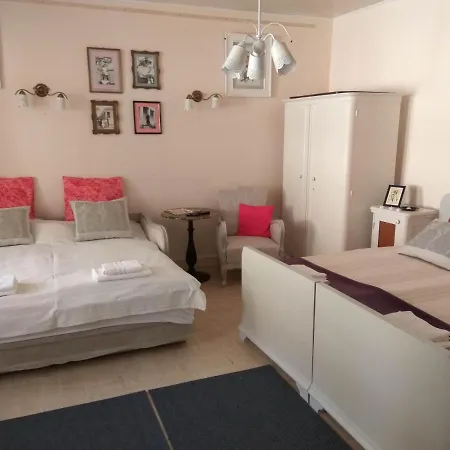 Ribizli Vintage Vendeghaz * Parad