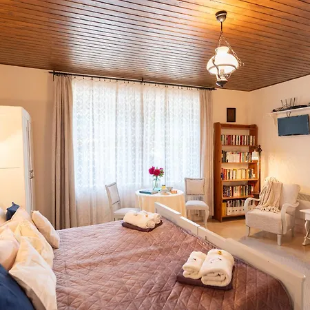 Ribizli Vintage Vendeghaz Apartmán Parád