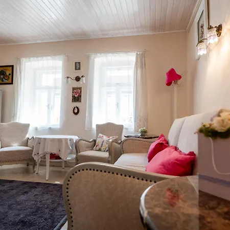 Ribizli Vintage Vendeghaz Apartmán