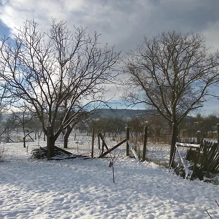 Ribizli Vintage Parád