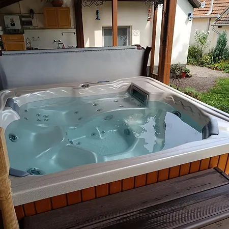 Ribizli Vintage Vendeghaz Parád