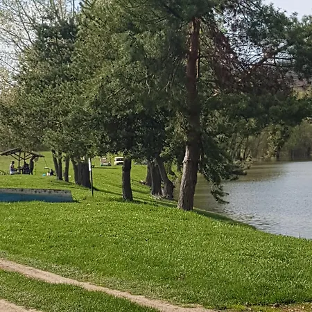 Ribizli Vintage Vendeghaz