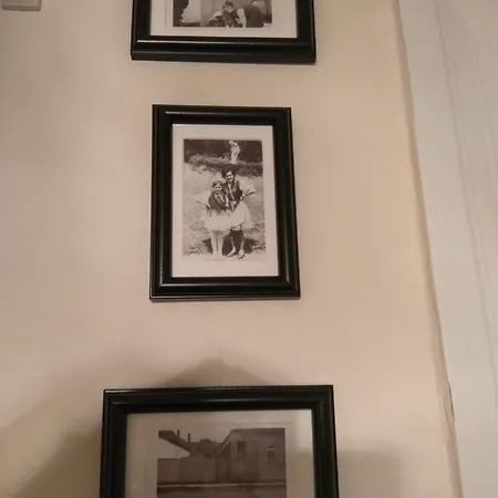 Ribizli Vintage Vendeghaz