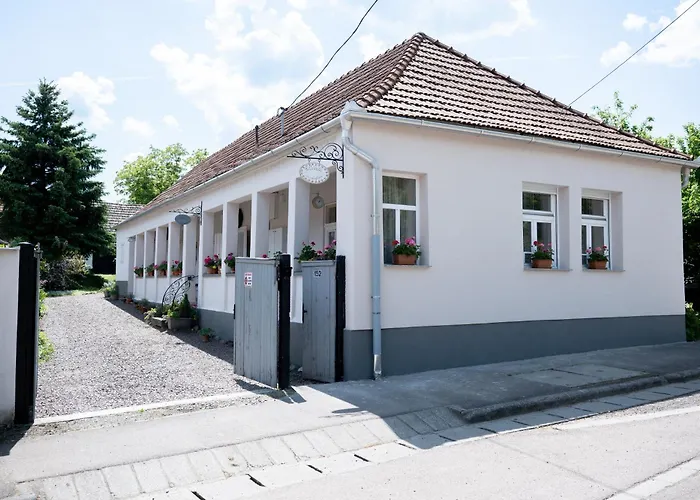 Ribizli Vintage Vendeghaz * Parád